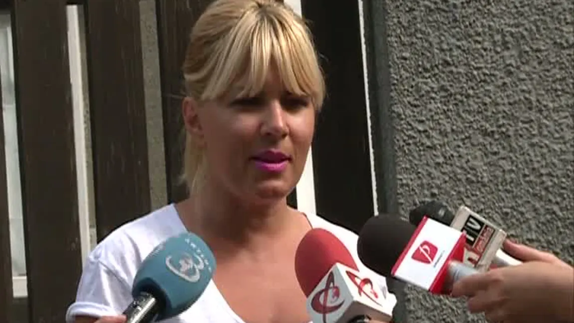 Elena Udrea: PSD e în degringoladă. Dragnea este omul opoziţiei