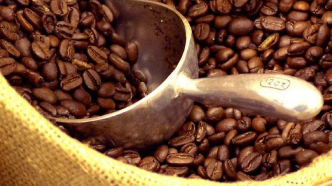 Ziua Internaţională a Cafelei. Producţia de cafea, în PERICOL din cauza SCHIMBĂRILOR CLIMATICE
