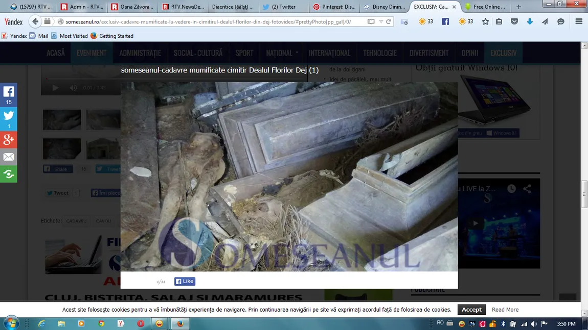 Cimitirul groazei, la Dej. Imagini horror, cadavre mumificate aruncate la întâmplare VIDEO