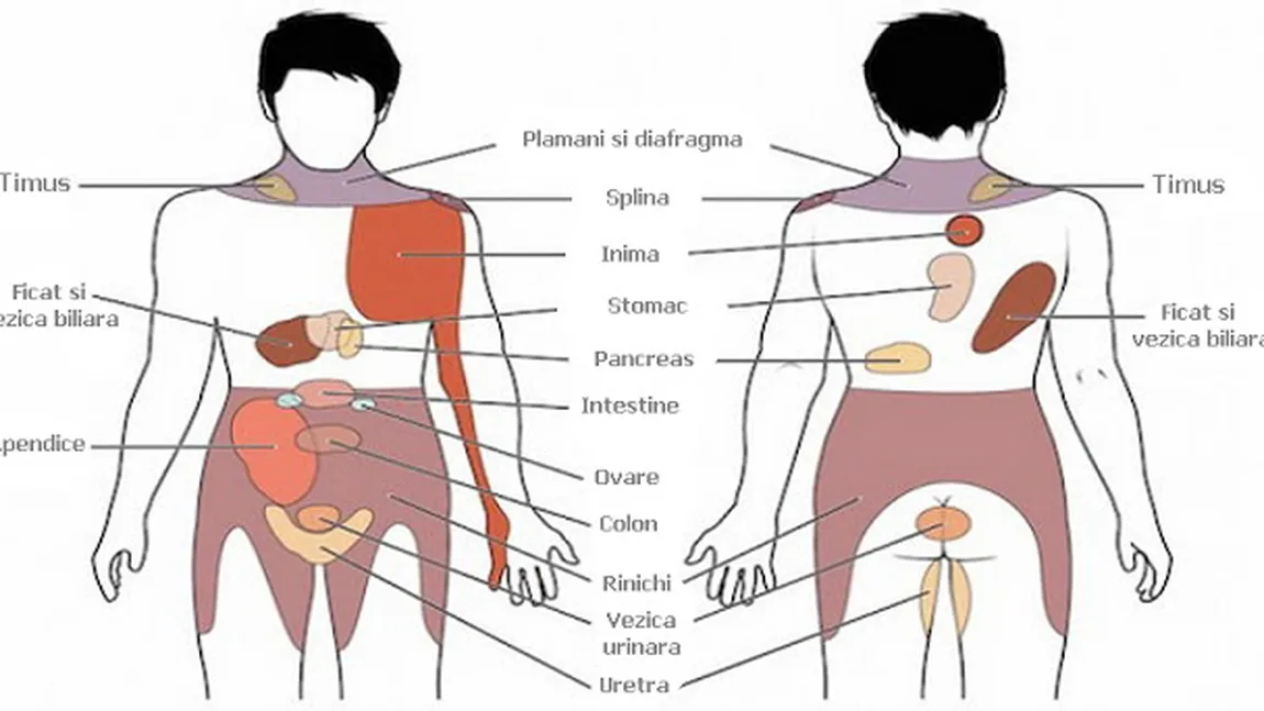 7 dureri pe care nu trebuie să le ignori. Ar putea fi semnalul unor BOLI GRAVE