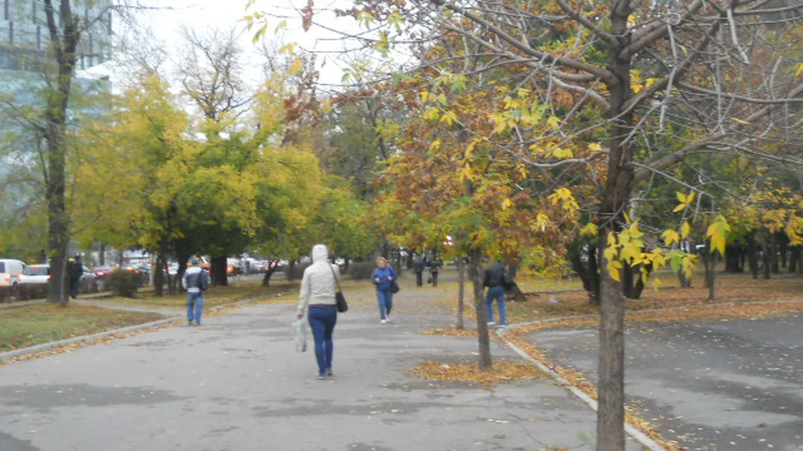 PROGNOZA METEO pentru URMĂTOARELE ZILE. Vor fi dimineţi în care TEMPERATURA VA COBORÎ la 10 grade