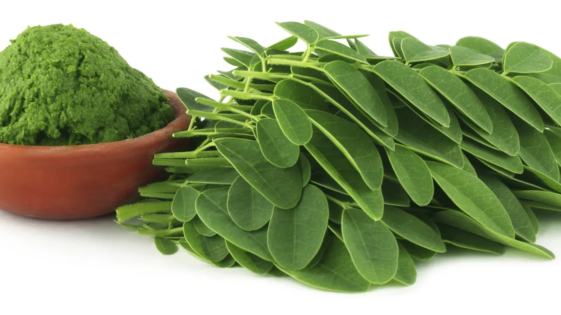 Moringa, planta-minune care vindecă peste 300 de boli