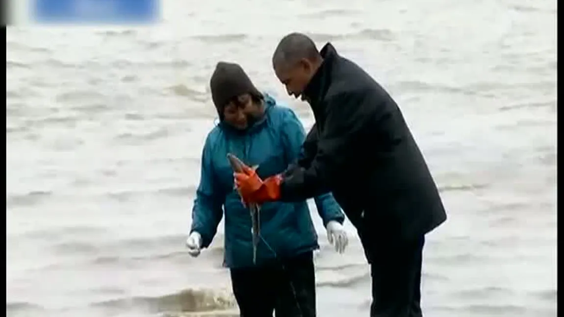 Incident controversat cu Obama în Alaska. Un somon îşi depune icrele pe pantofii lui VIDEO