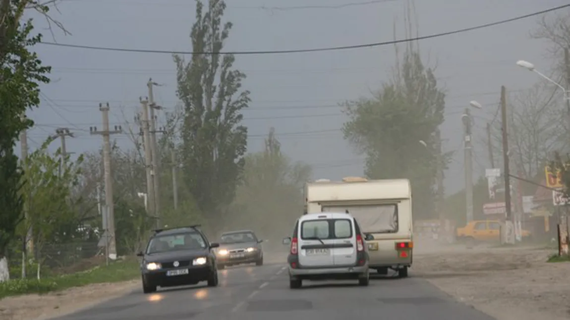 ACCIDENT GRAV în Alba. Un copac a căzut peste o maşină. Şoferul a MURIT