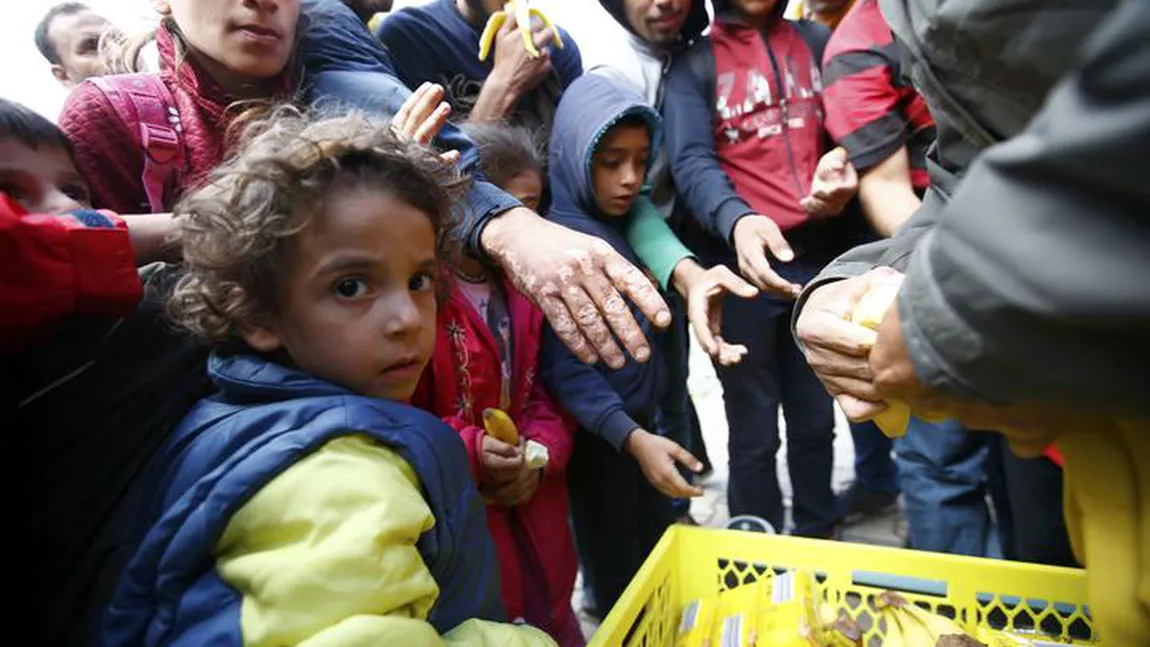 România se pregăteşte de primirea refugiaţilor. O nouă TABĂRĂ, la graniţa cu Serbia VIDEO