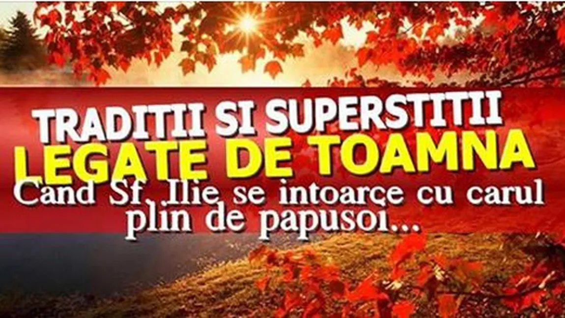 Superstiţii şi tradiţii legate de toamnă: Ce se întâmplă dacă păsările zboară lin