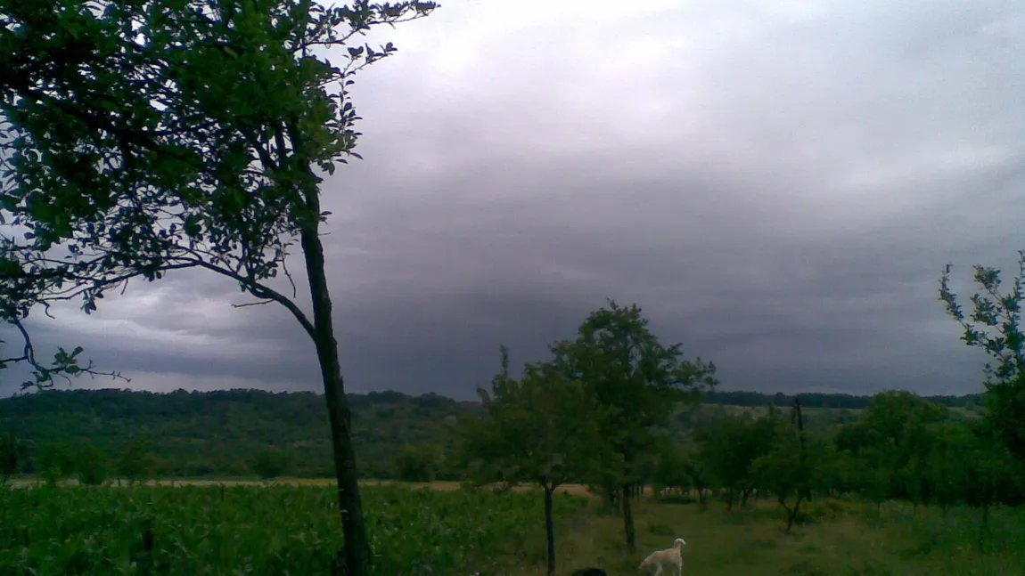 PROGNOZA METEO. Cum va fi vremea în weekend şi la începutul săptămânii viitoare