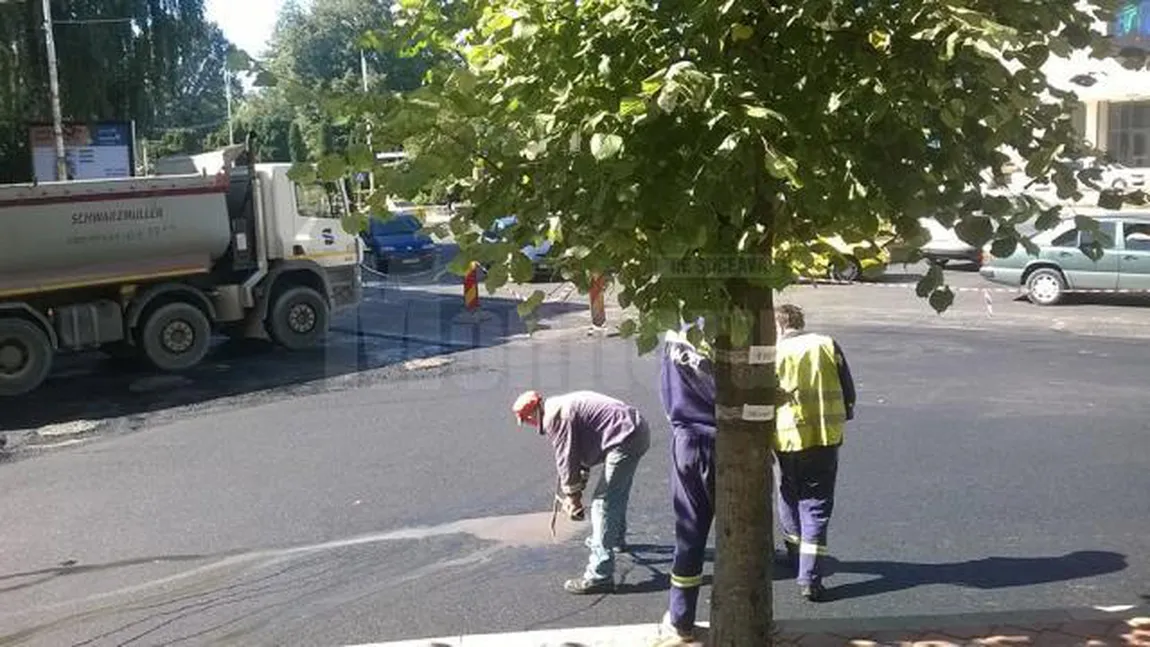 Recordul lui Dorel de la Suceava: Asfalt spart la 10 minute de la turnare