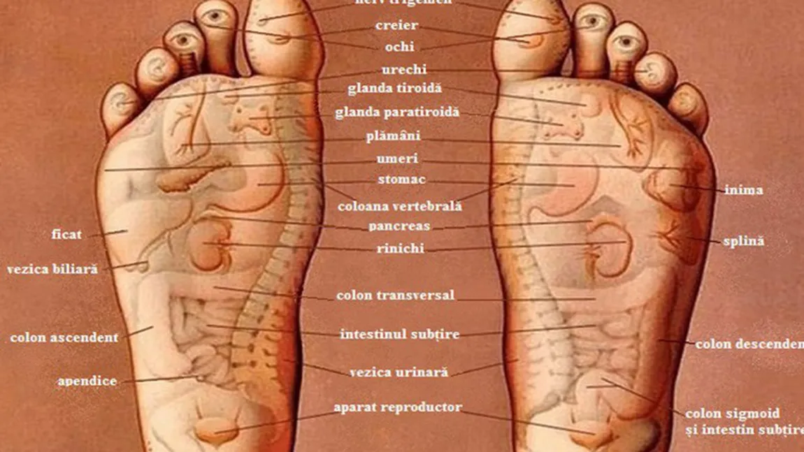 Unde trebuie să te masezi în tălpi pentru a vindeca o serie de BOLI FOTO