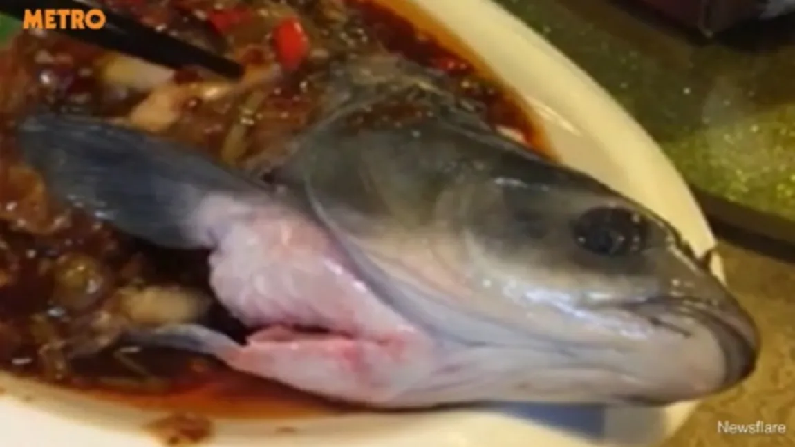 Incredibil, dar adevărat. A gătit un peşte, însă ce s-a întâmplat când l-a pus în farfurie este şocant VIDEO