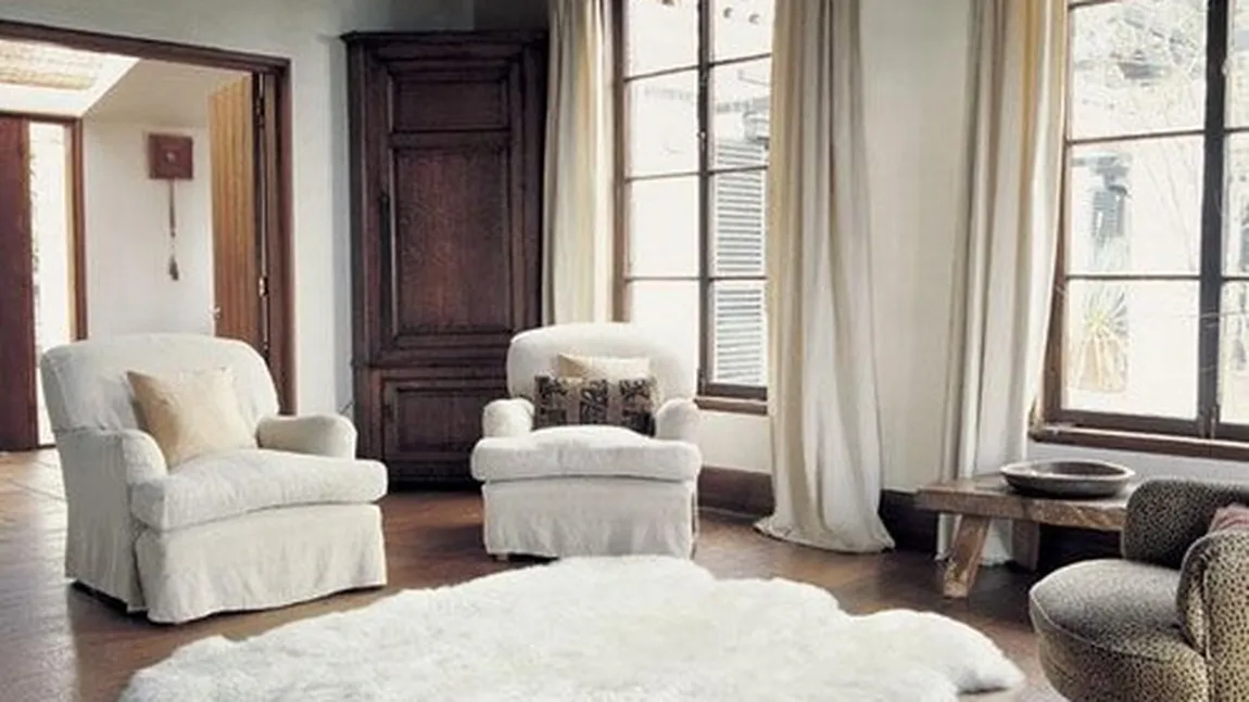 Amenajarea de interior se întoarce în epoca preistorică. Care este accesoriul de lux pentru o casă modernă