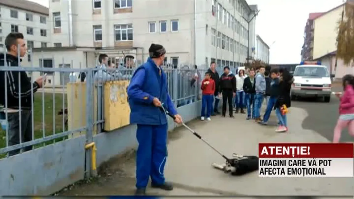 Câine chinuit de hingheri în faţa copiilor VIDEO