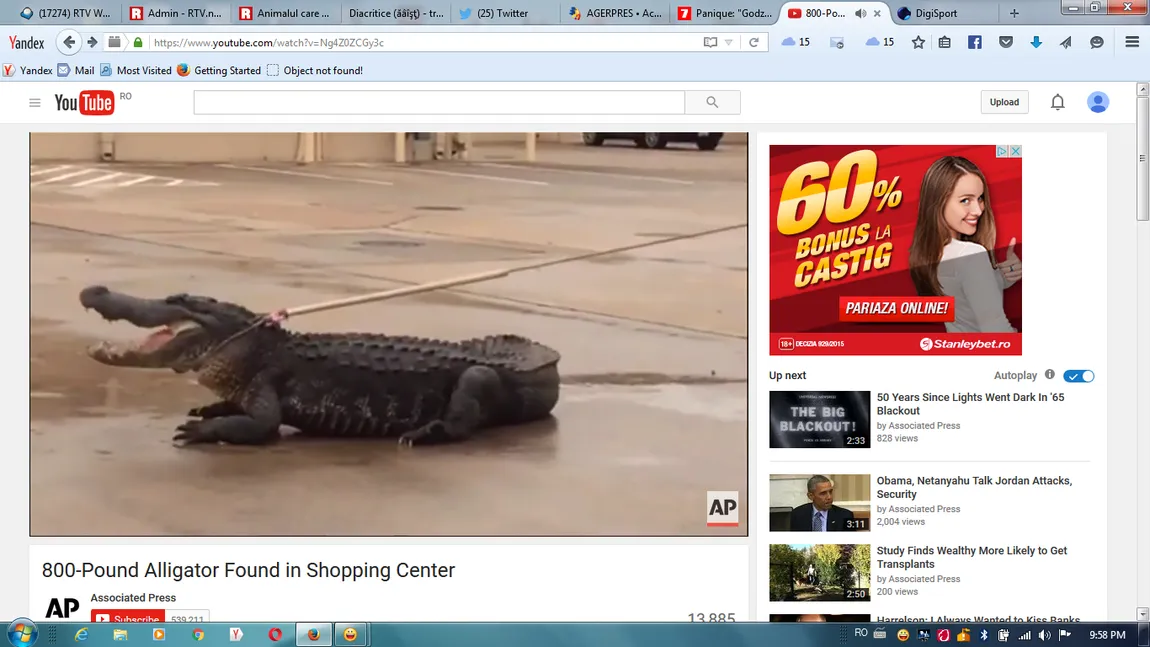 Panică, un crocodil la mall. Cum s-au luptat oamenii cu reptila de 360 kg VIDEO