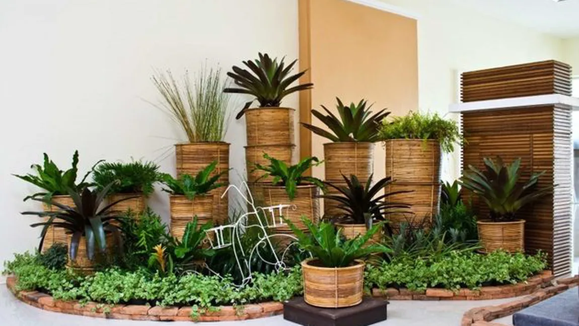 Cele cinci plante care îţi aduc fericirea în casă
