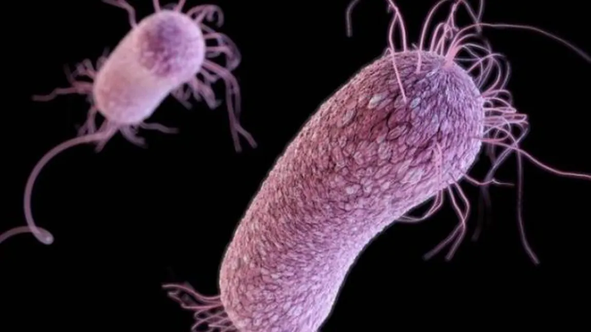 Bacterii periculoase rezistente la antibiotice puternice, descoperite în China