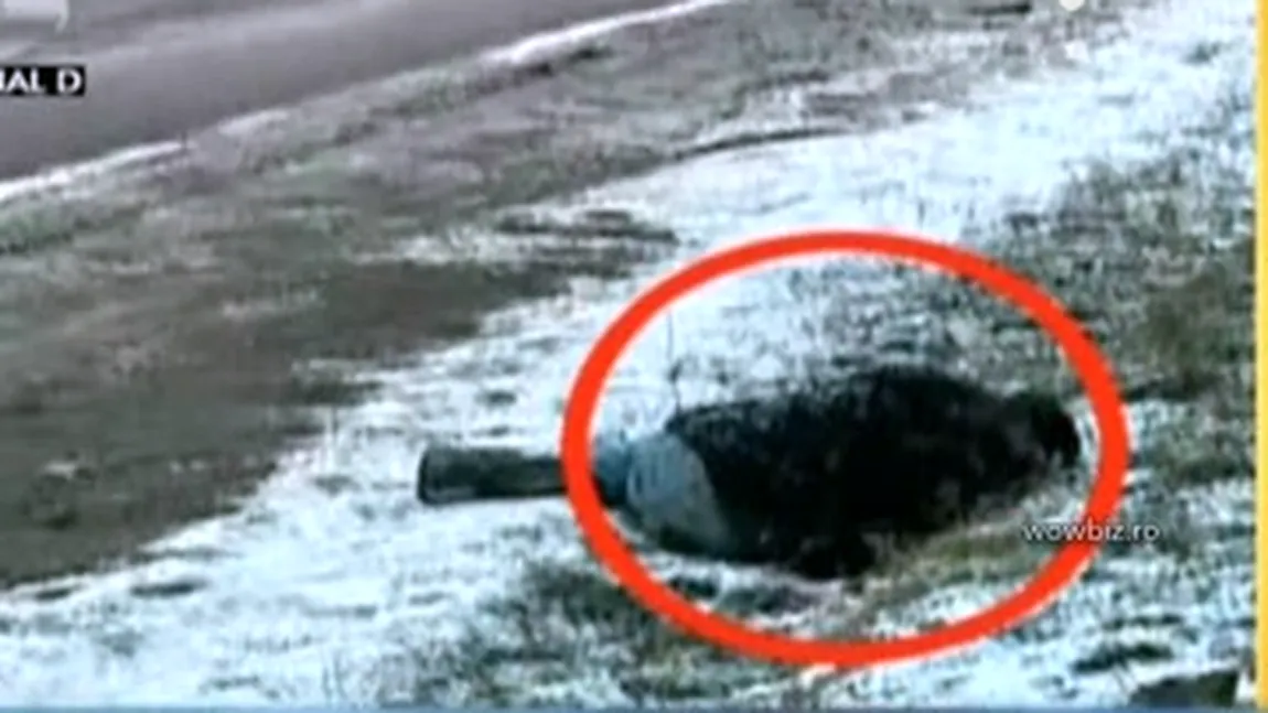 Scene ireale în Neamţ. Un bărbat căzut pe stradă, ignorat de toţi trecătorii VIDEO
