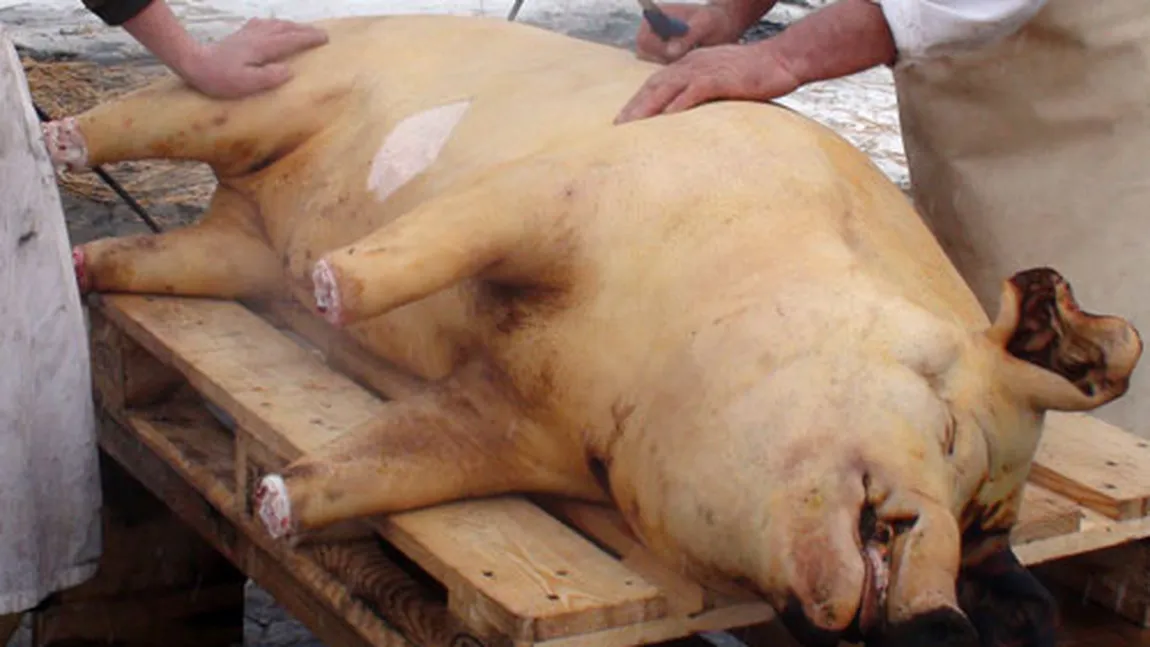 Scene şocante la Târgu-Jiu. Un porc a fost tăiat sub privirile îngrozite ale unor copii cu probleme psihice