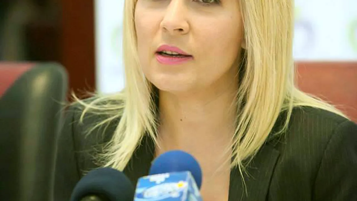 Elena Udrea îşi asumă o parte din vină pentru adoptarea cu greşeli a codurilor penale
