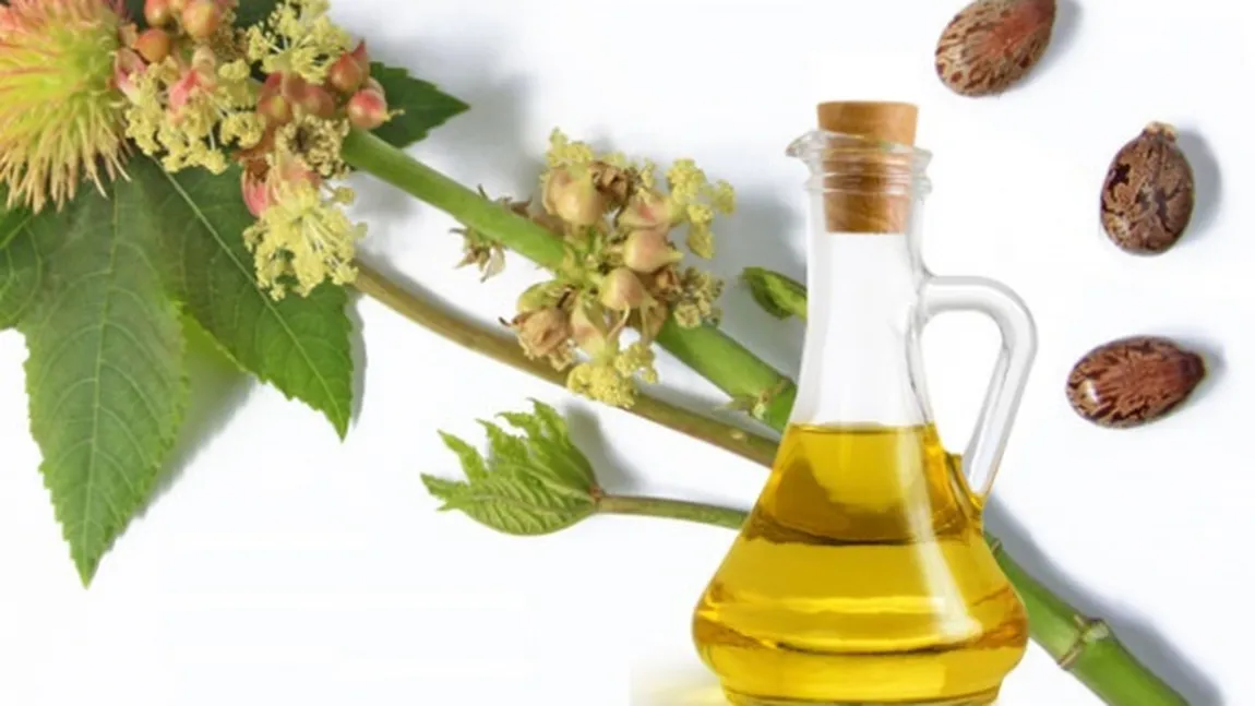 Zece întrebuinţări uimitoare ale uleiului de ricin