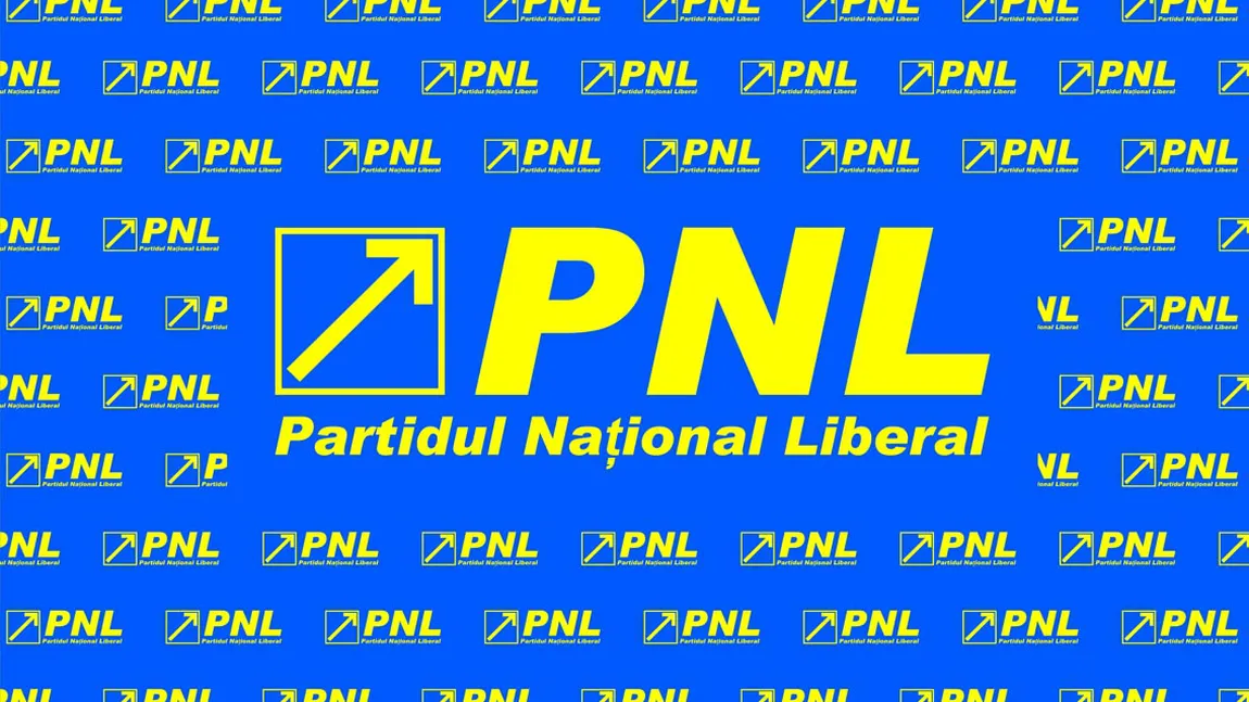 PNL solicită Avocatului Poporului să conteste la CCR alegerea primarilor într-un singur tur