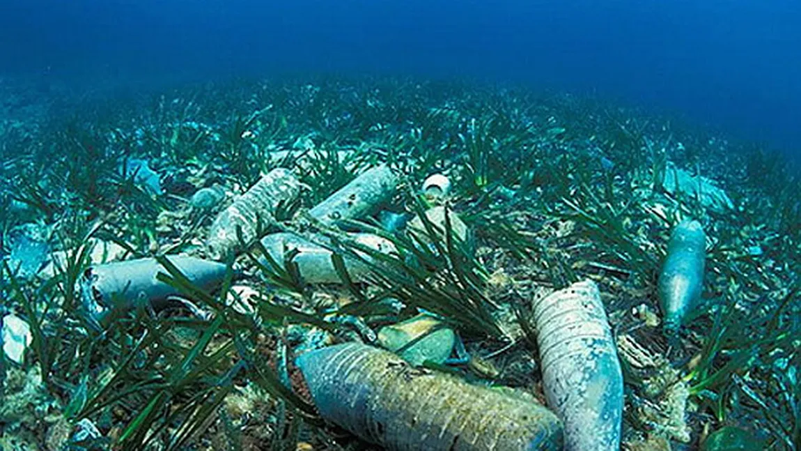 În 2050, în oceane va exista o cantitate mai mare de plastic decât de peşte
