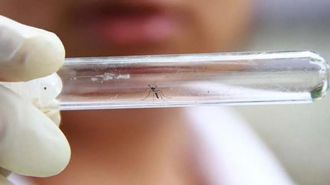 MAE avertizează românii. Virusul Zika, prezent în 28 de ţări