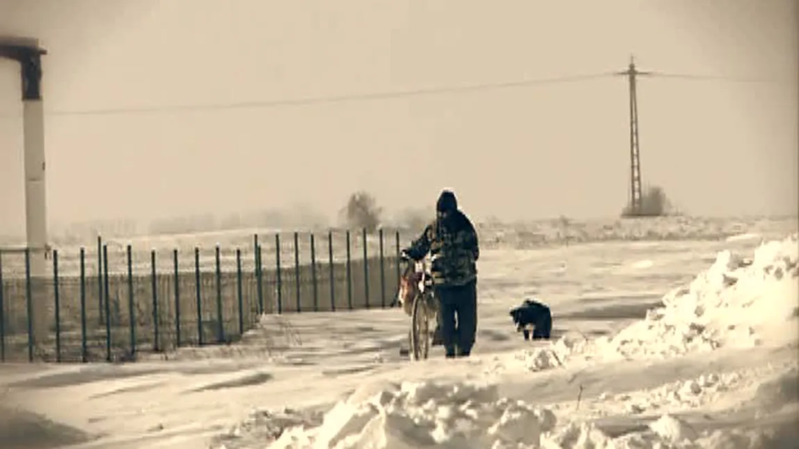 Imagini ca la Polul Nord. Blocuri de zăpadă, înalte de 3 metri în unele zone din Vaslui VIDEO