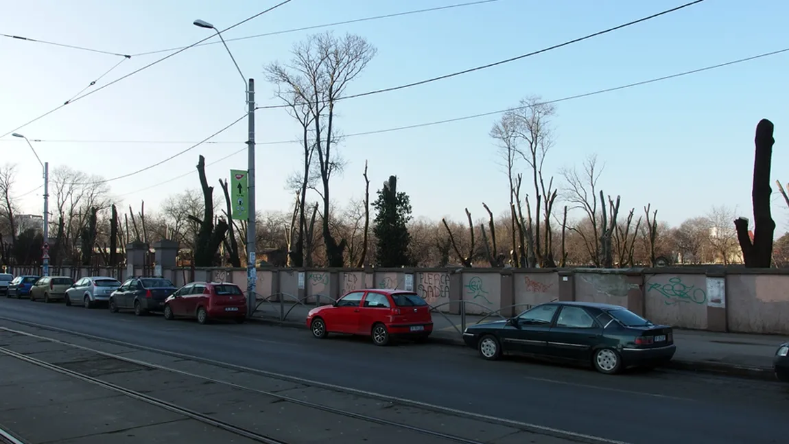 Zeci de arbori din Cimitirul Evreiesc din Bucureşti au fost CIOPÂRŢIŢI. Ce spune Primăria