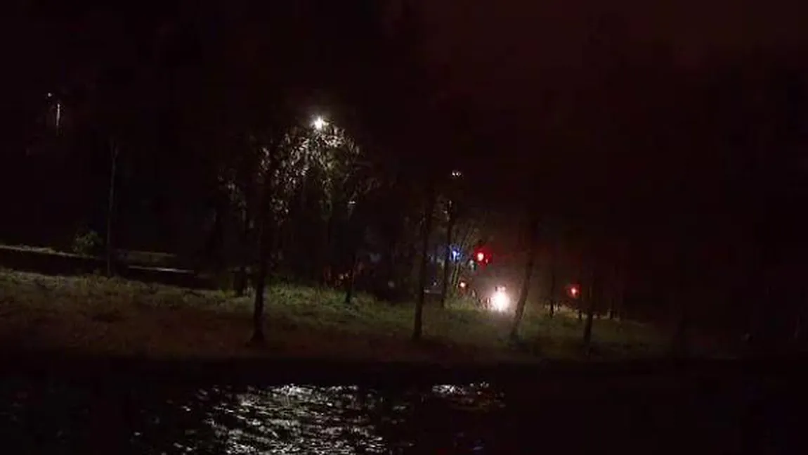 Tragedie în Parcul IOR, din Capitală. Un copil de 11 ani a murit după ce a căzut dintr-un copac