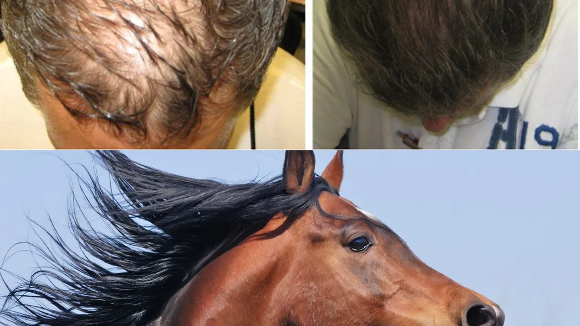 Ce se întâmplă dacă te speli pe cap cu şampon de cal? Efectul e incredibil