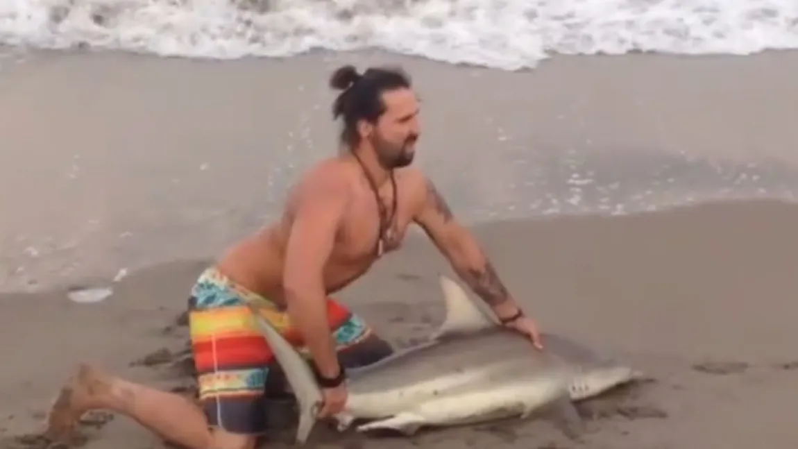 Selfie extrem! Un bărbat a scos un rechin din apă să facă poze cu el