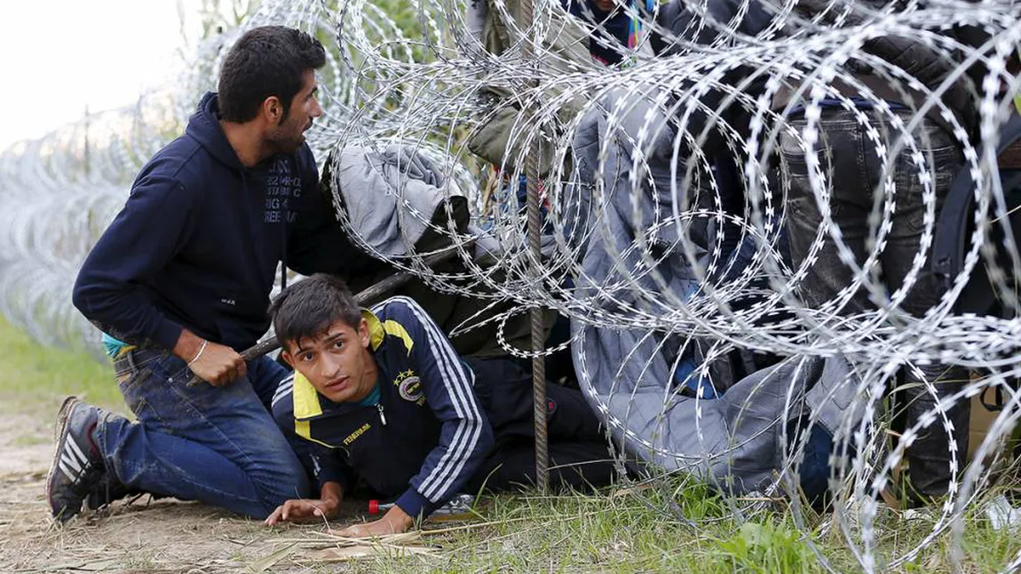 Trei sirieni au fost prinşi la Arad, când încercau să treacă ilegal graniţa în Ungaria