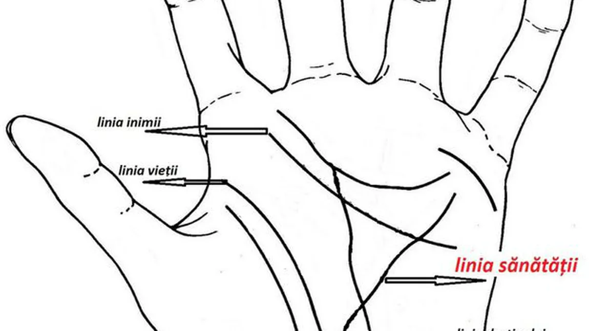 Află ce afecţiuni poţi avea după cum arată linia sănătăţii din palmă. Ce înseamnă dacă îţi lipseşte