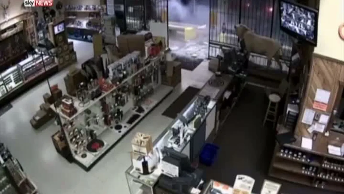 Jaf ca-n filme la un magazin de arme din Texas FOTO şi  VIDEO