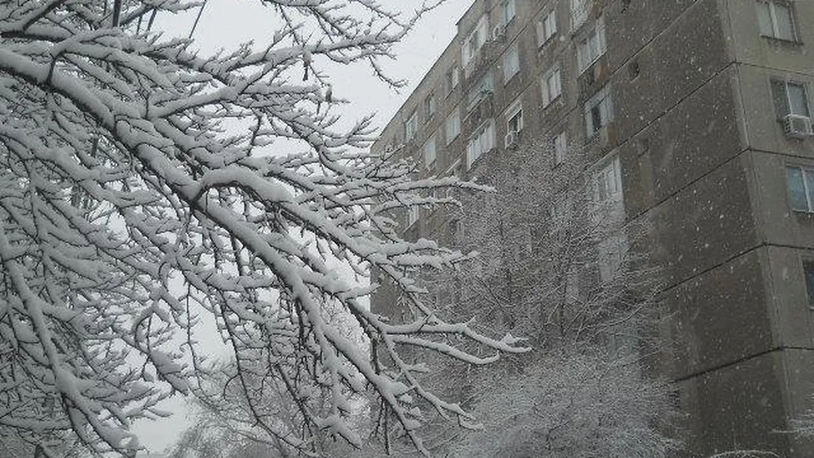 Cum explică meteorologii ninsoarea de sâmbătă seară din Capitală