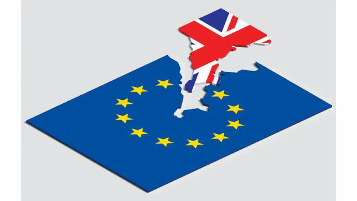 Referendum în Marea Britanie: Europenii vor ca Regatul Unit să rămână în Uniunea Europeană