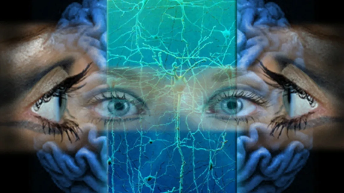 Cum se explică fenomenul de Deja Vu: ce se întâmplă în creier când ai această senzaţie stranie