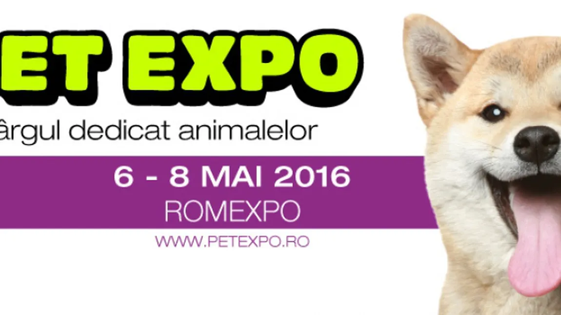 Cel mai important concurs de acvaristică din România începe la Pet Expo