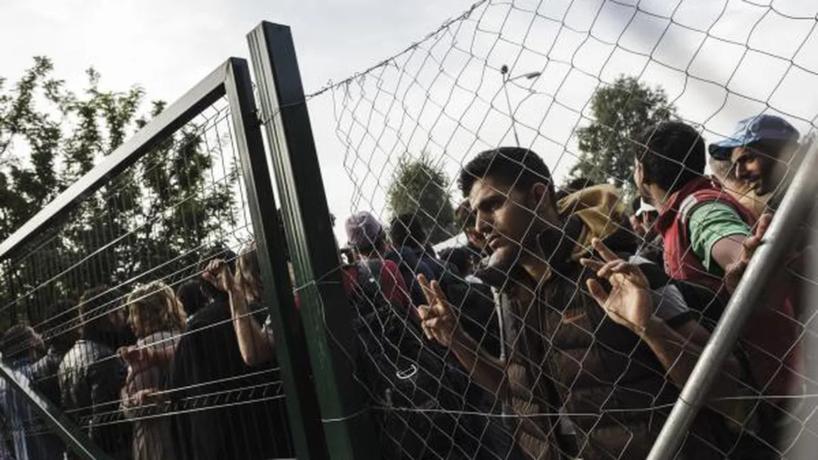 Grecia este bănuită că ar fi DEPORTAT imigranţi care solicitau azil