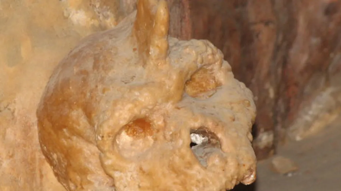 BIZAR. Un craniu vechi de 700.000 de ani, contrazice tot ce ştiai până acum despre evoluţia omului