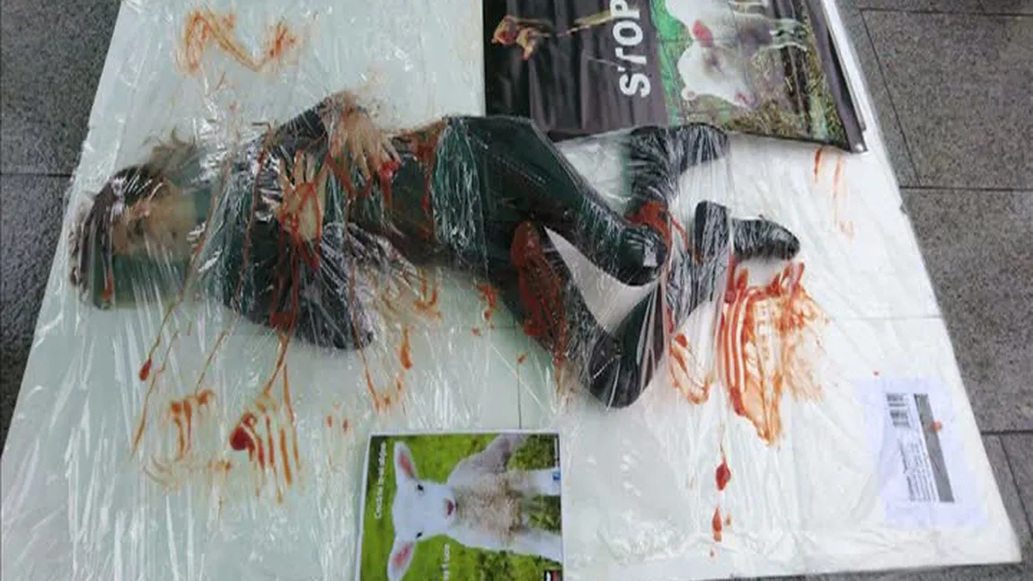 Protest împotriva sacrificării mieilor. Iubita lui Remus Cernea, într-o ipostază macabră