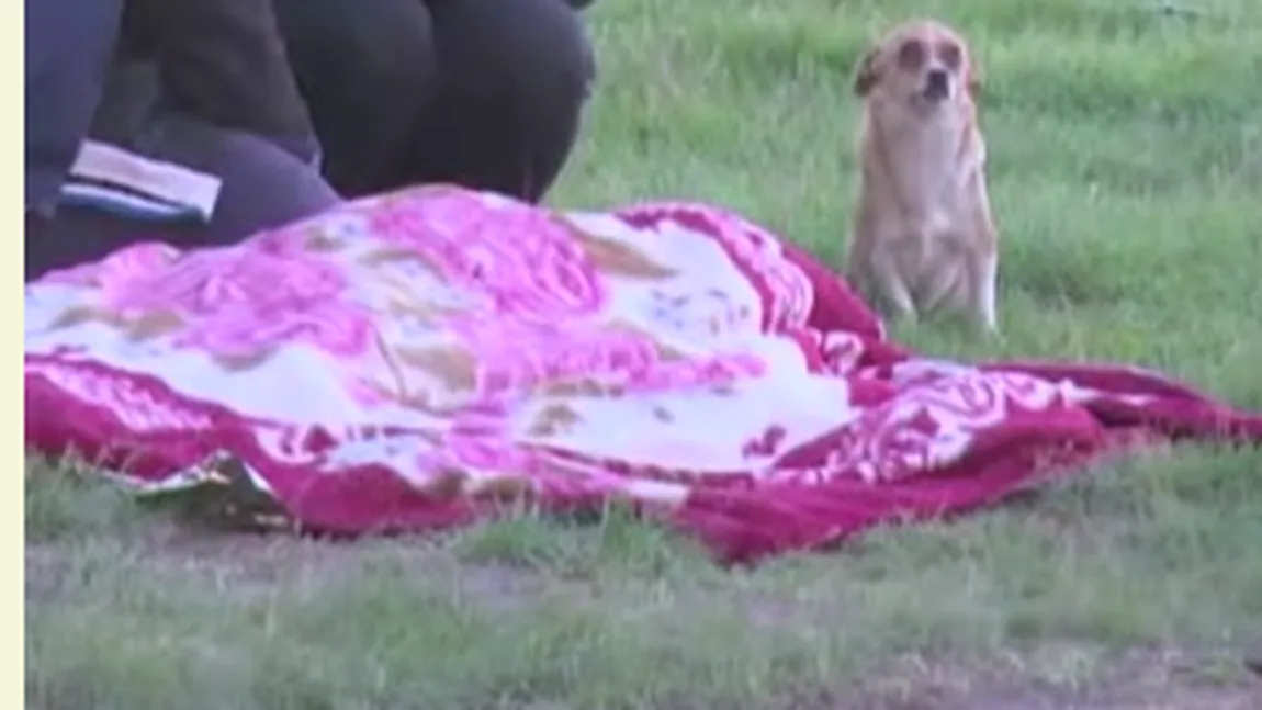 Un copil de 9 ani a murit înecat la Vaslui. Imagini EMOŢIONANTE cu câinele băieţelului VIDEO