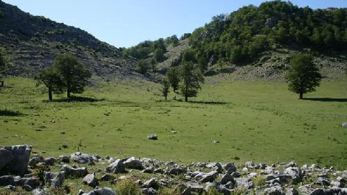 Proiect de peste 300.000 euro, implementat în Geoparcul Platoul Mehedinţi