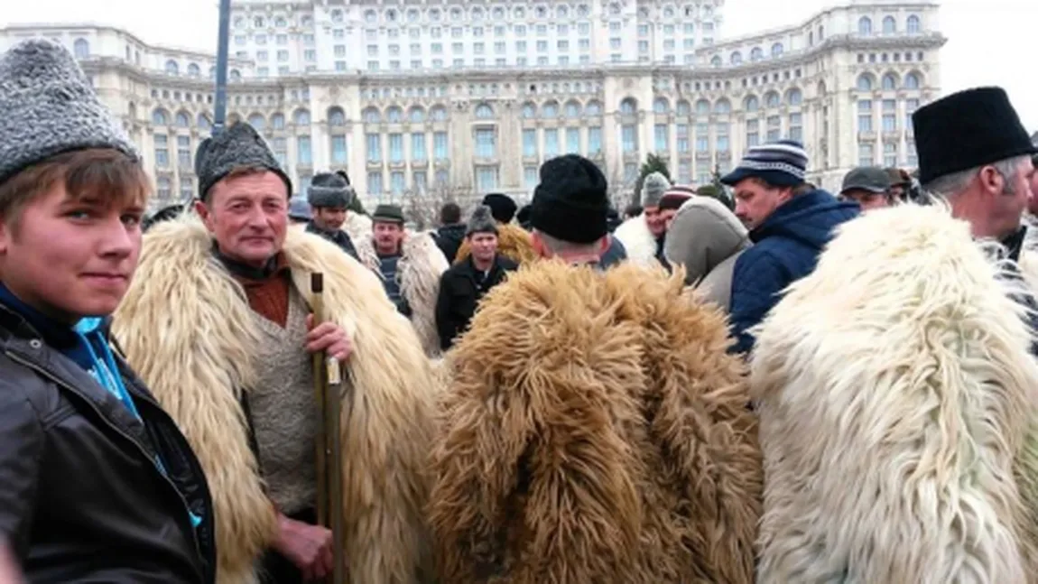 Crescătorii de animale ameninţă din nou cu proteste dacă nu este modificată Legea vânătorii