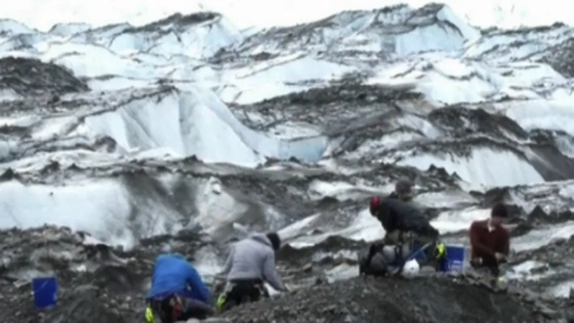 Avion prăbuşit cu 52 de oameni la bord, eliberat de gheaţă după 60 de ani