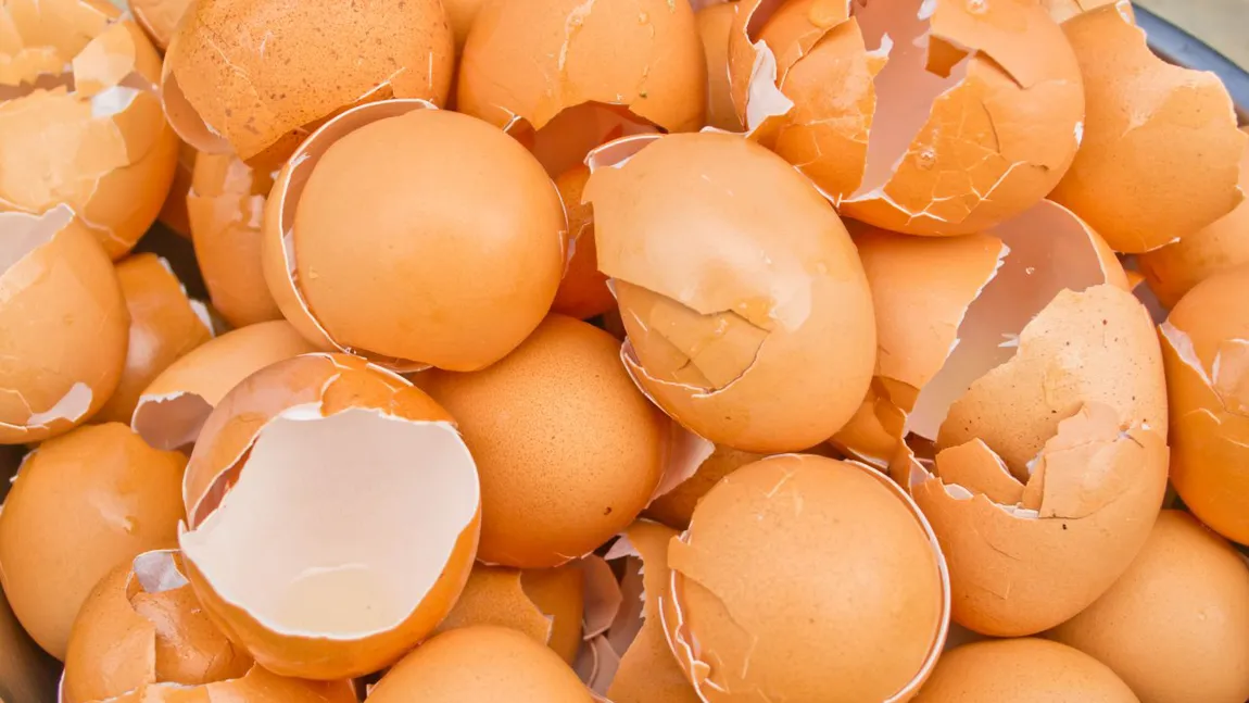 Arunci cojile de la ouă? Iată ce efecte miraculoase au asupra corpului tău şi ce poţi face cu ele