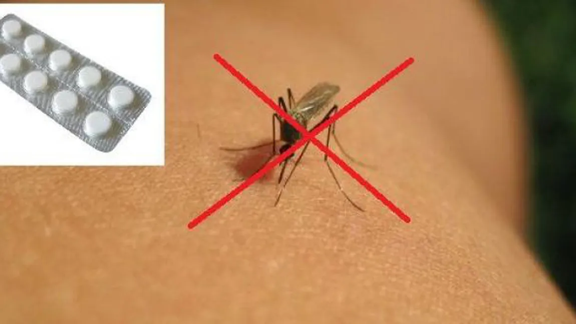 Cum poţi ţine ţânţarii la distanţă. Trucul dezvăluit de specialişti