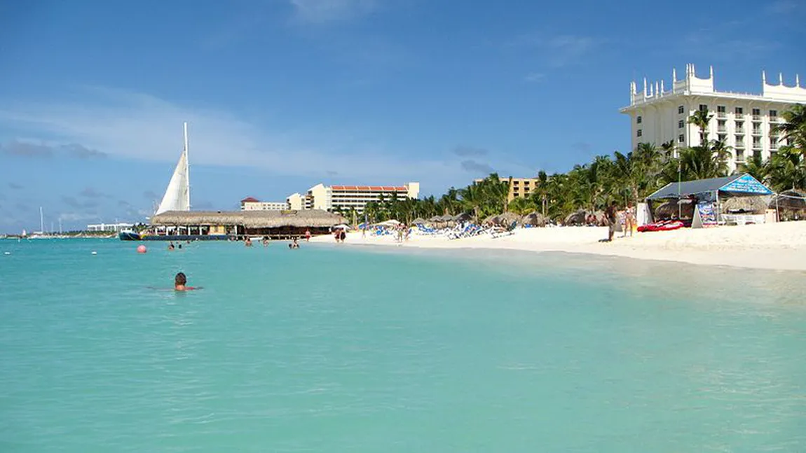 Angajări în Florida, SUA, şi în Germania. Vezi oferta de muncă şi salariile
