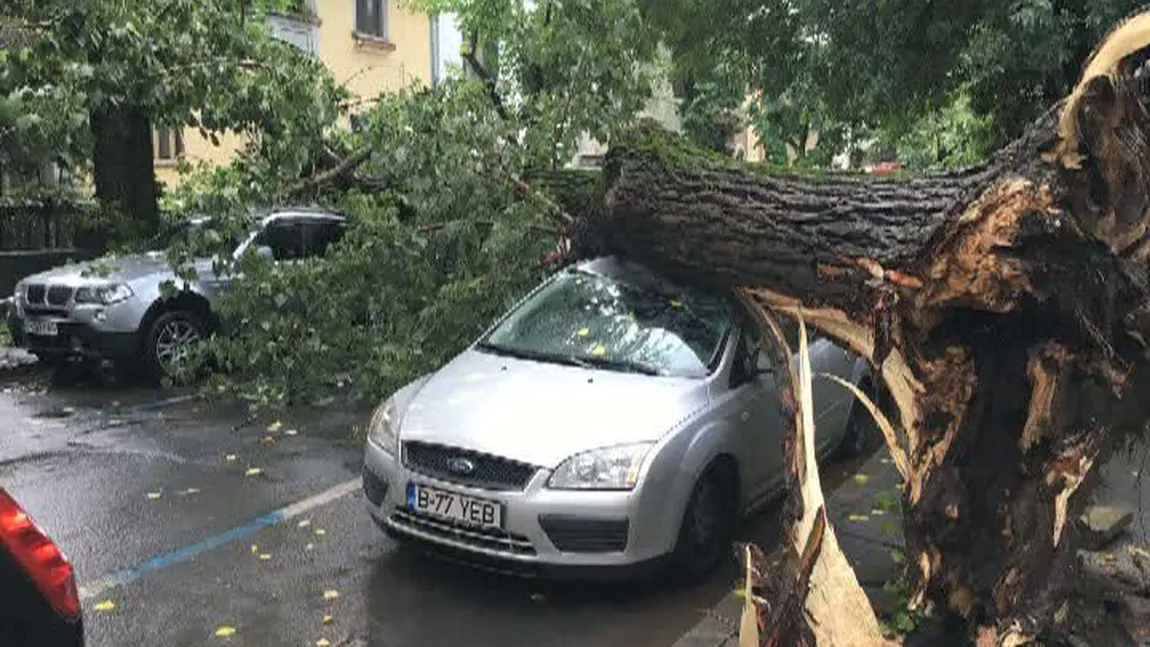 Circulaţia la metrou, blocată din cauza inundaţilor. Oameni captivi în viituri, copaci cazuţi peste maşini VIDEO