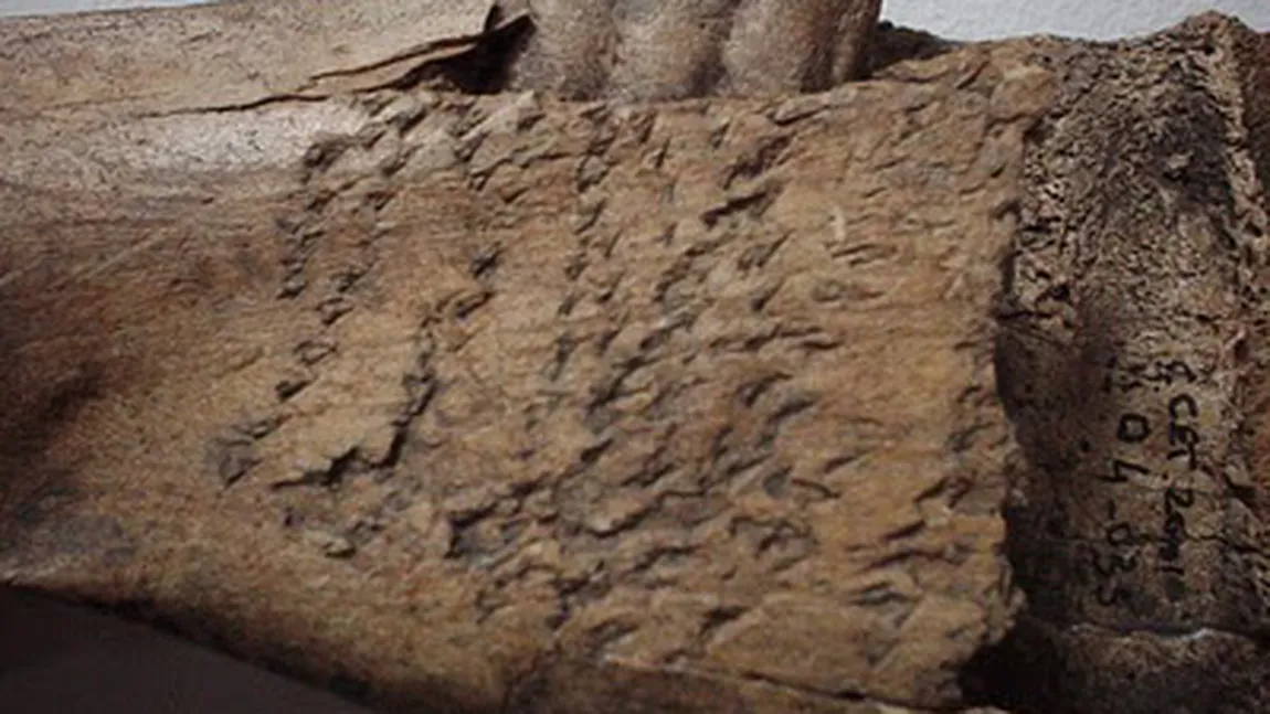 Descoperirea şocantă de la Chitila, care schimbă istoria: scriere bizară pe oase, veche de mii de ani